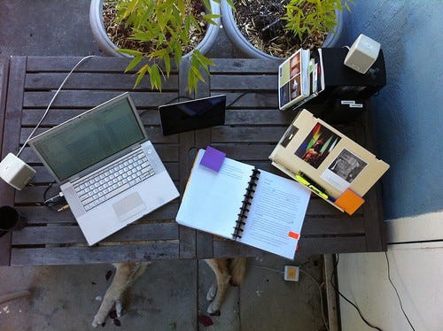 Today's workplace, with bamboo and dog