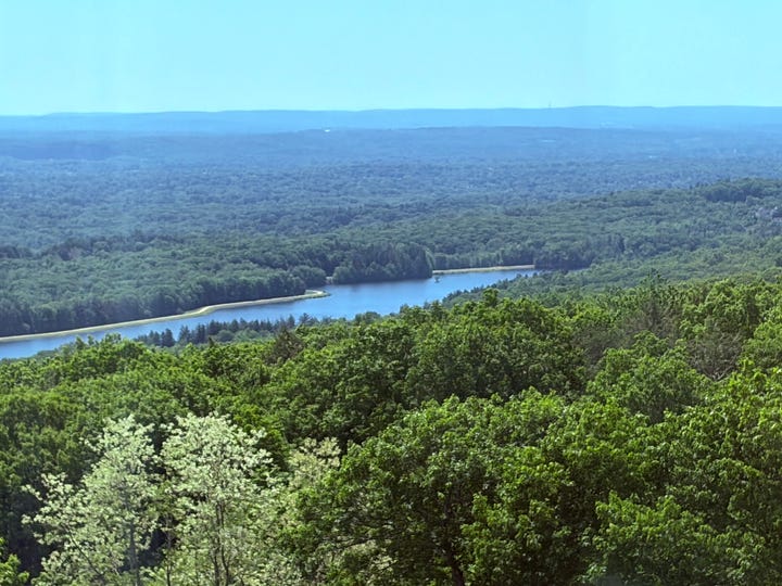 windows, observation, signs, river, trees, sky