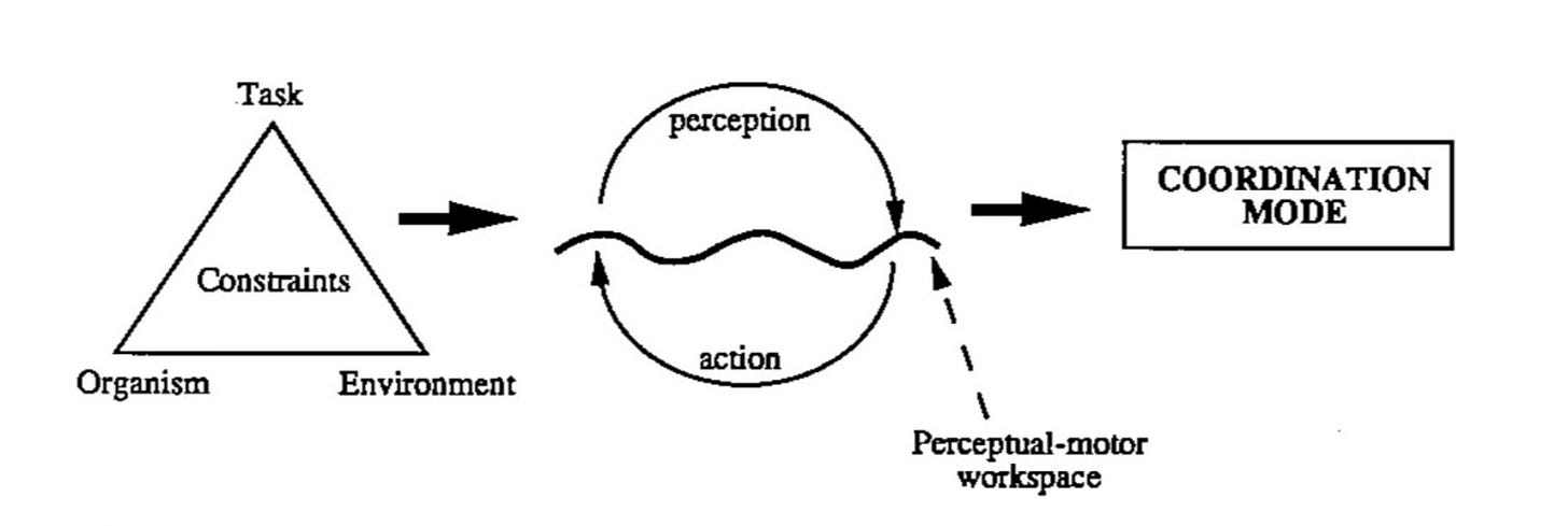 Understanding and Using Constraints — Hooper University