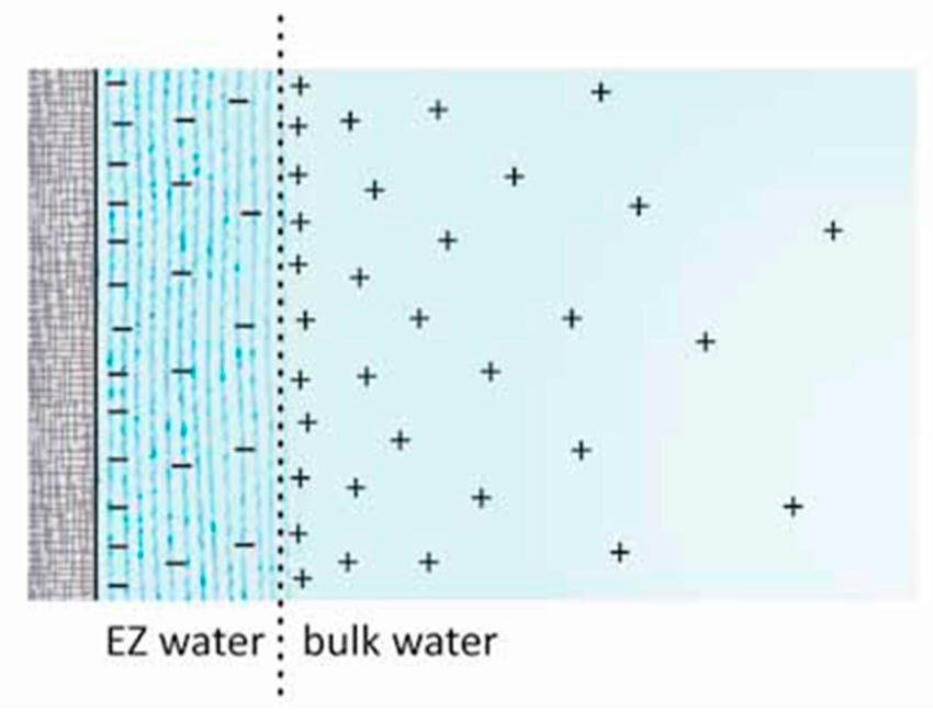 Diagrammatic representation of EZ water, negatively charged, and the ... Diagrammatic representation of EZ water, negatively charged, and the ...