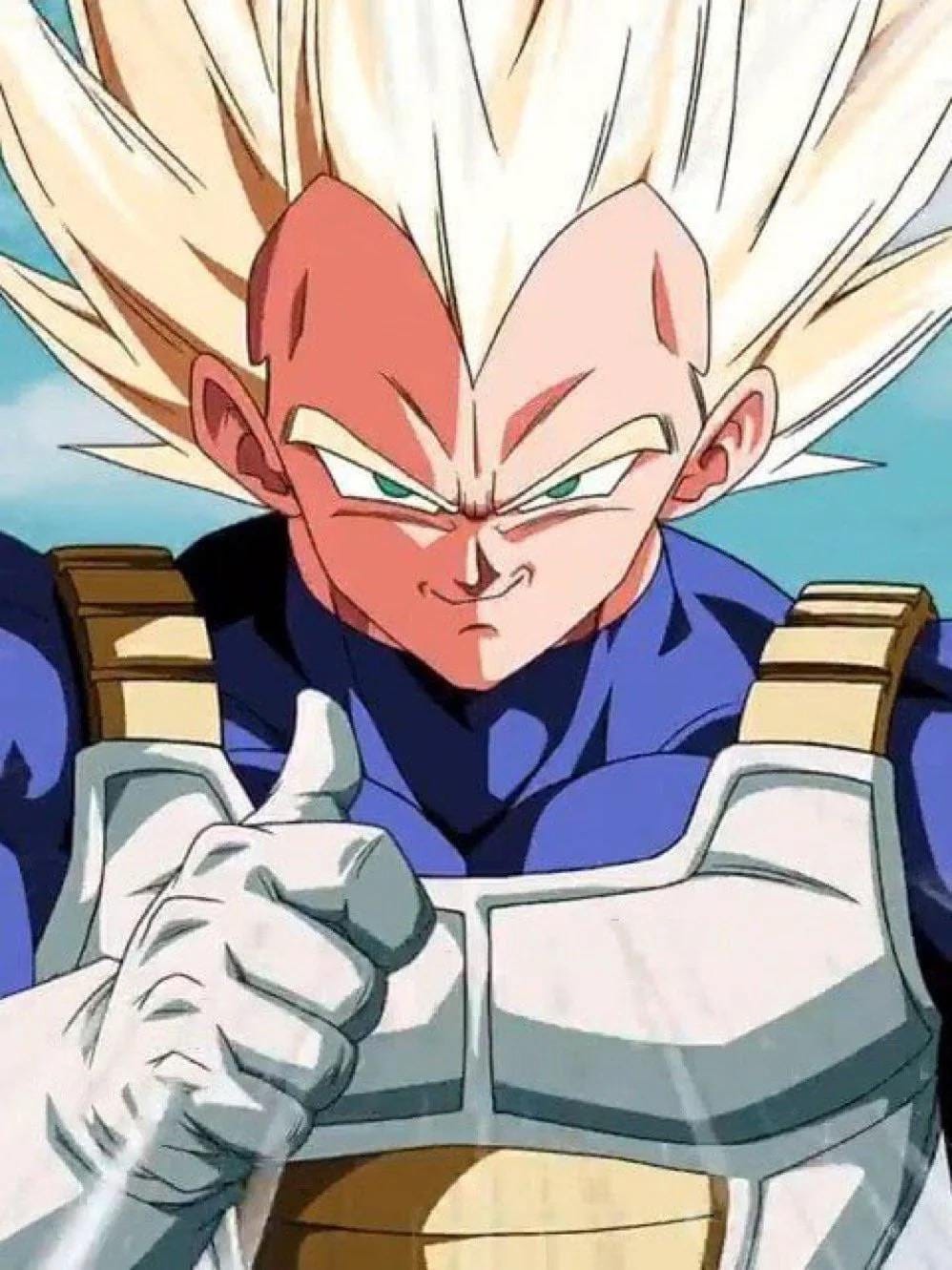I can't wait for Super Vegeta to have the bulky muscles he's supposed to  have finally instead of just being a Super Saiyan reskin like in Xenoverse  : r/tenkaichi4