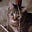 Darcy Fiona McNair2's avatar