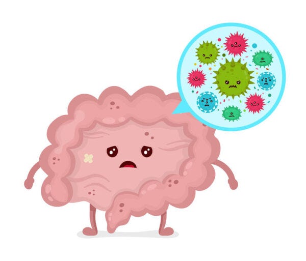Of Bugs and Brains