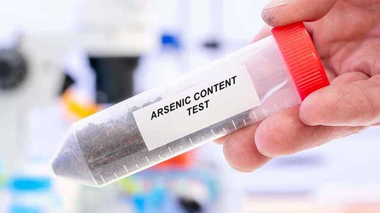 arsenic fatty liver disease