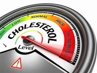Image result for cholesterol