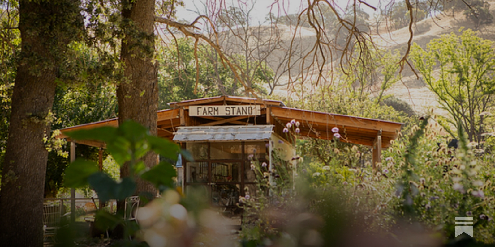 Soul Food Farm Reserve, The Farmstand