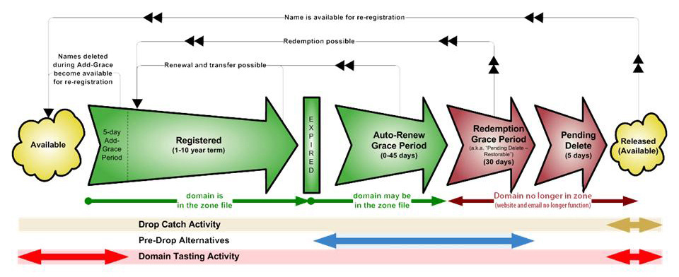 Domain expiration process