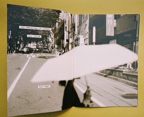 nice words in nice places zine shots