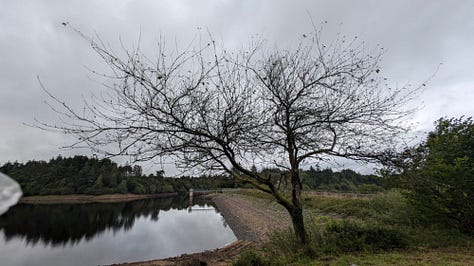 A day out in Bovey Tracey