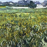 Tree of Life Mission