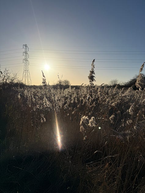A lampost, electricity pylon, and view of the sun through the fields