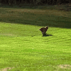 You Wouldn't Like JD Vance When He's Angry. Or Any Other Time. Tabs, Thurs., Aug. 29, 2024