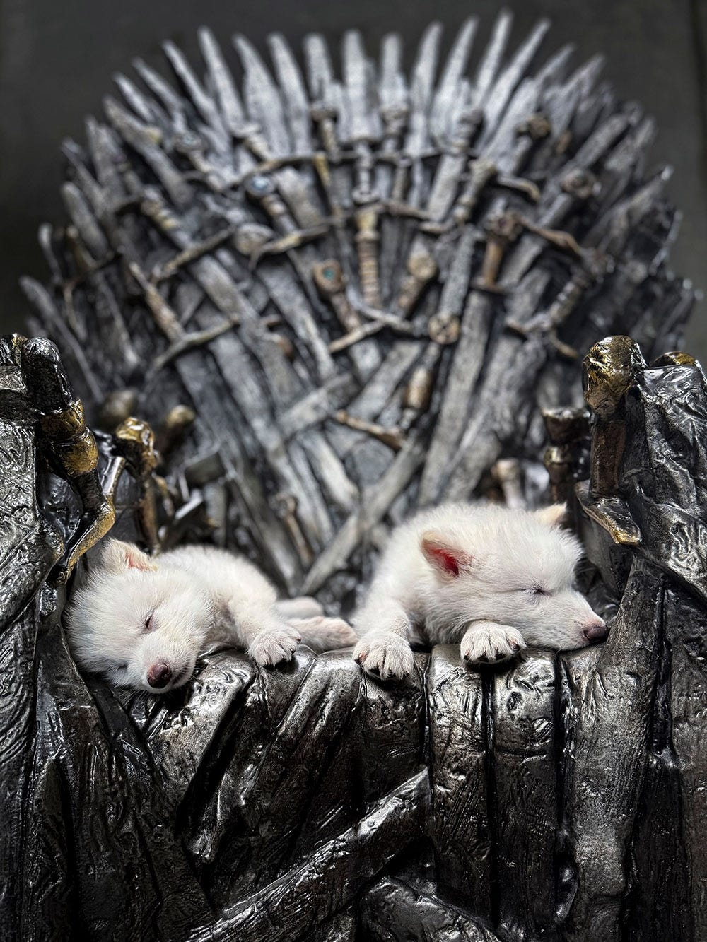 Game of Thrones' Dire Wolves Return in De-Extinction Breakthrough