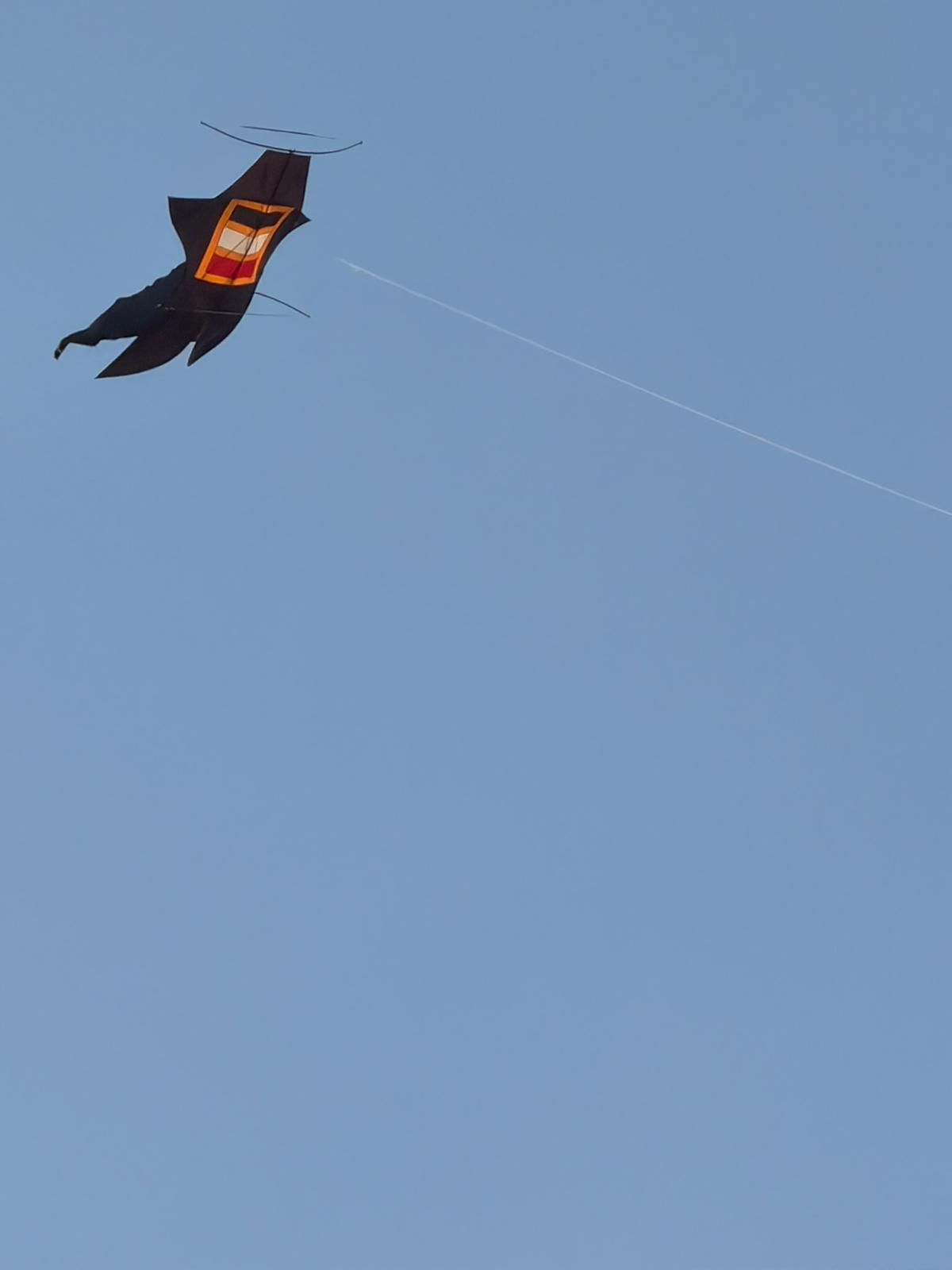 Traditional Balinese kite flying high aove Sanur against a blue sky.