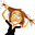 Lynn Little's avatar