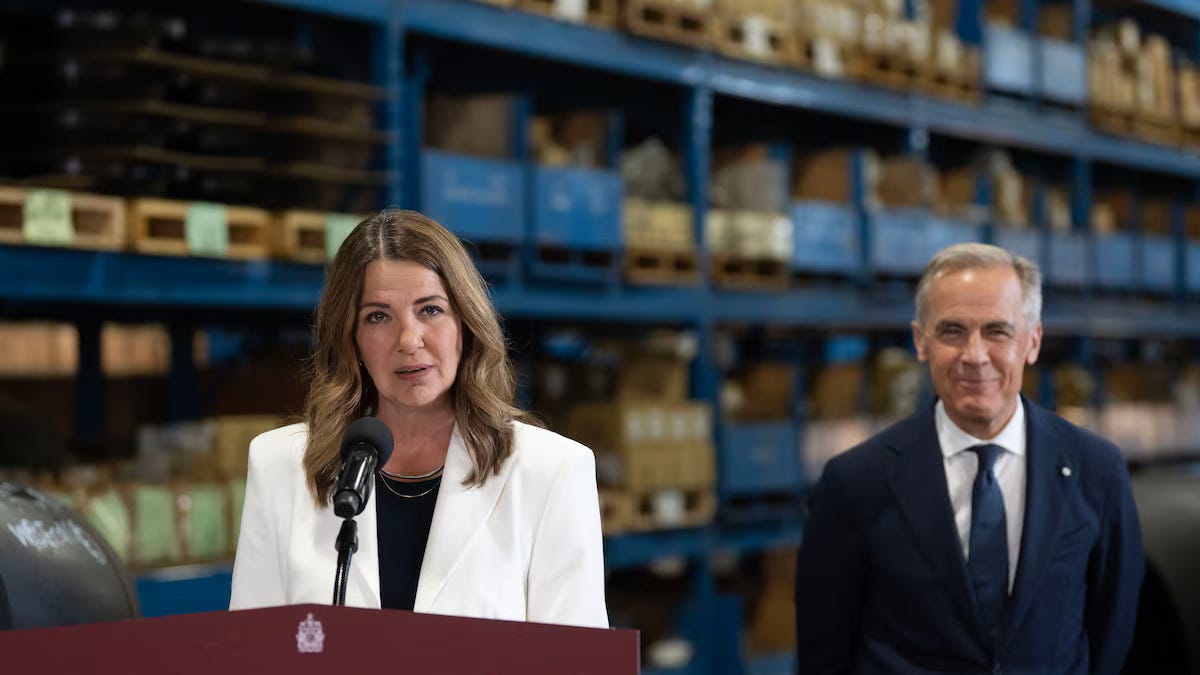 On Pipelines and Politics: When the Optimal Policy of A Private Business Is Always to Do Nothing