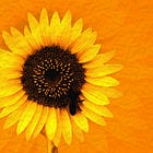 Nibs 0→1: Hoje às 19h tem aulão de Metaprompt