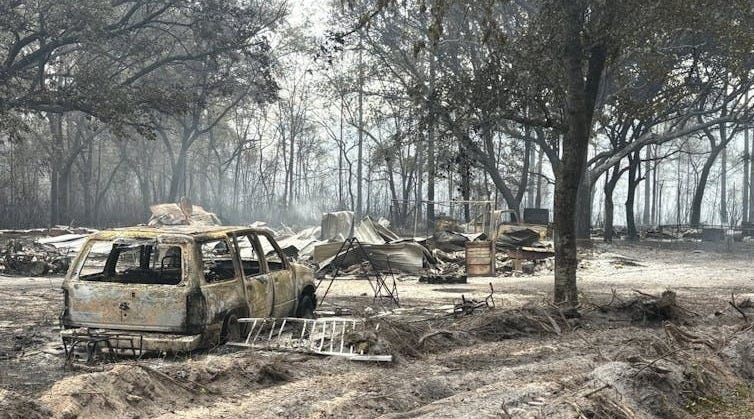 A forested area with a burned-out vehicle, burned trees and gray ash covering everything.