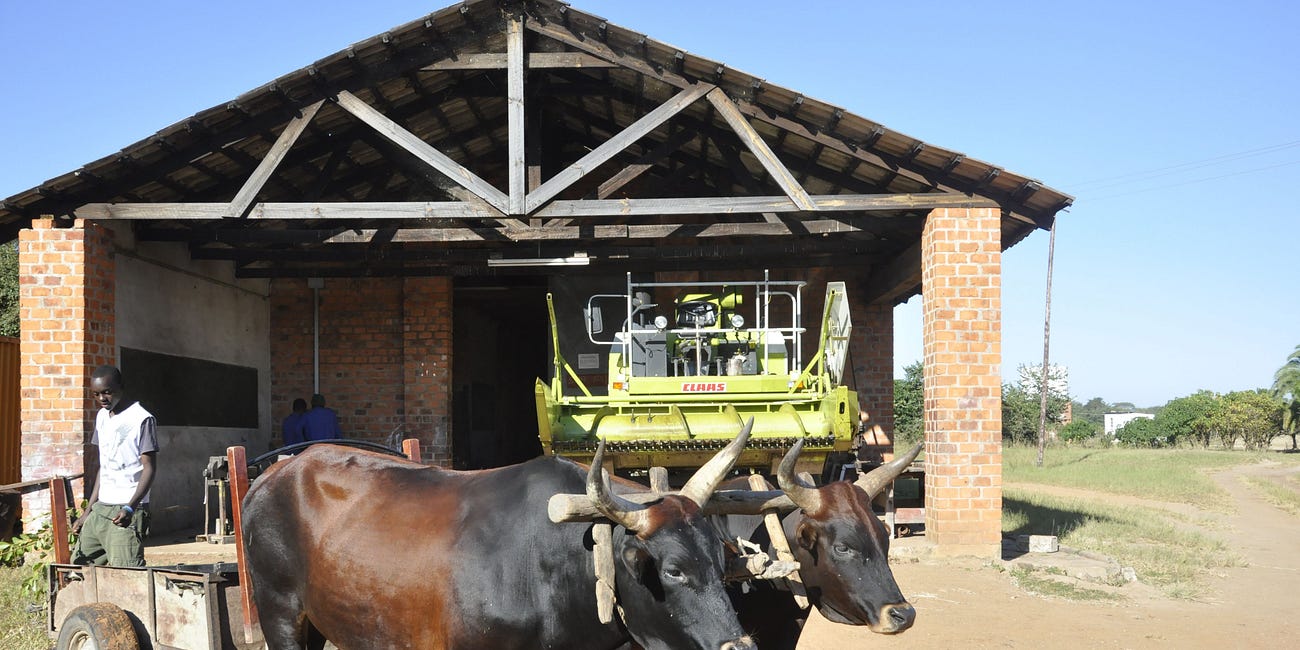 Me, the collapsnik!?