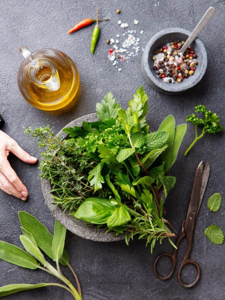 How to Grow Herbs: Outdoor Herb Garden Ideas for Beginners