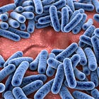 A Missing Piece Of The SIBO Puzzle?