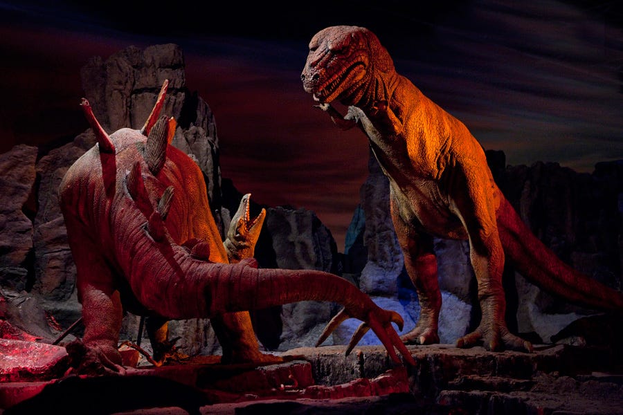Image result for disneyland primeval world Image result for disneyland primeval world