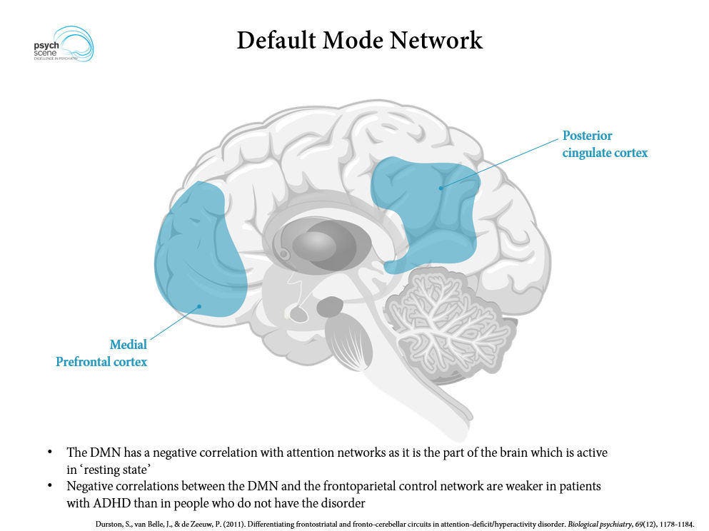 Neurobiology of Attention Deficit Hyperactivity Disorder (ADHD) - A Primer