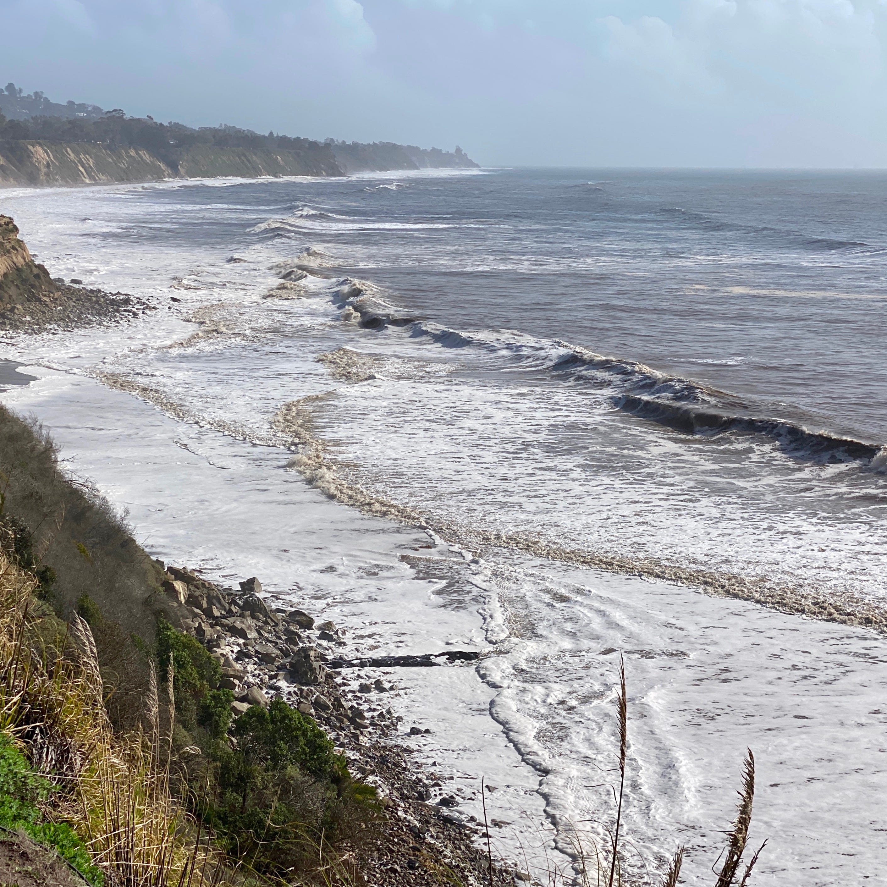 Polly’s Newsletter