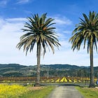 Weekend Getaway: Napa Valley, California