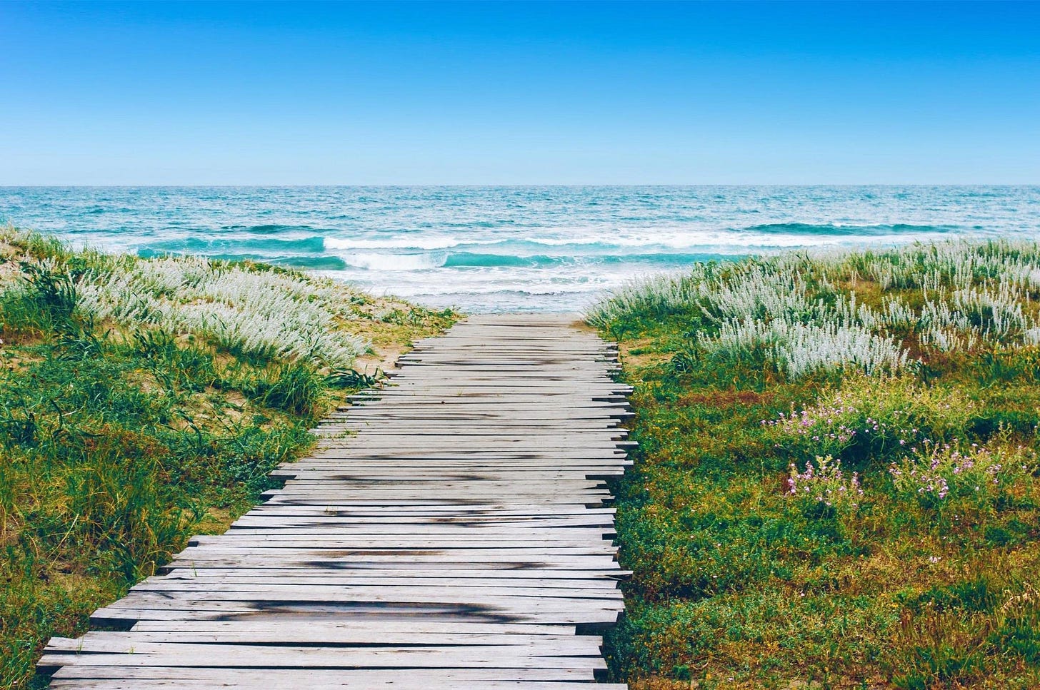 Clear Path Methodology Clear Path Methodology