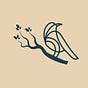 The Nest Review's avatar