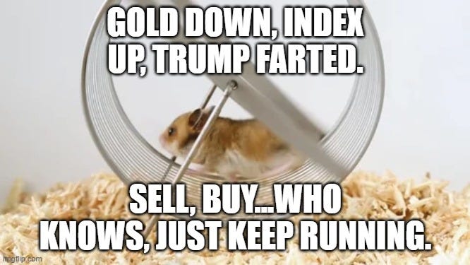 Meme of a hamster running on a wheel symbolizing emotional trading behavior in volatile markets. Caption jokes about market overreactions: “Gold down, index up, Trump farted.” Used in Beating the Tide investing newsletter Weekly #53 on why discipline beats action in investing. Meme of a hamster running on a wheel symbolizing emotional trading behavior in volatile markets. Caption jokes about market overreactions: “Gold down, index up, Trump farted.” Used in Beating the Tide investing newsletter Weekly #53 on why discipline beats action in investing.