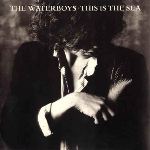 The 1985 Project Part 56: The Waterboys - This Is the Sea