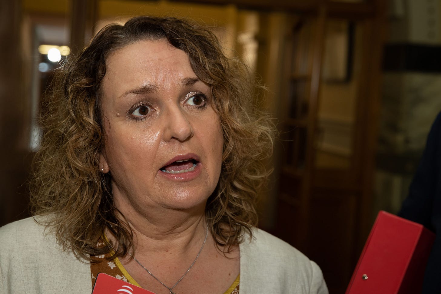 Jan Tinetti to face senior MPs on false statements today