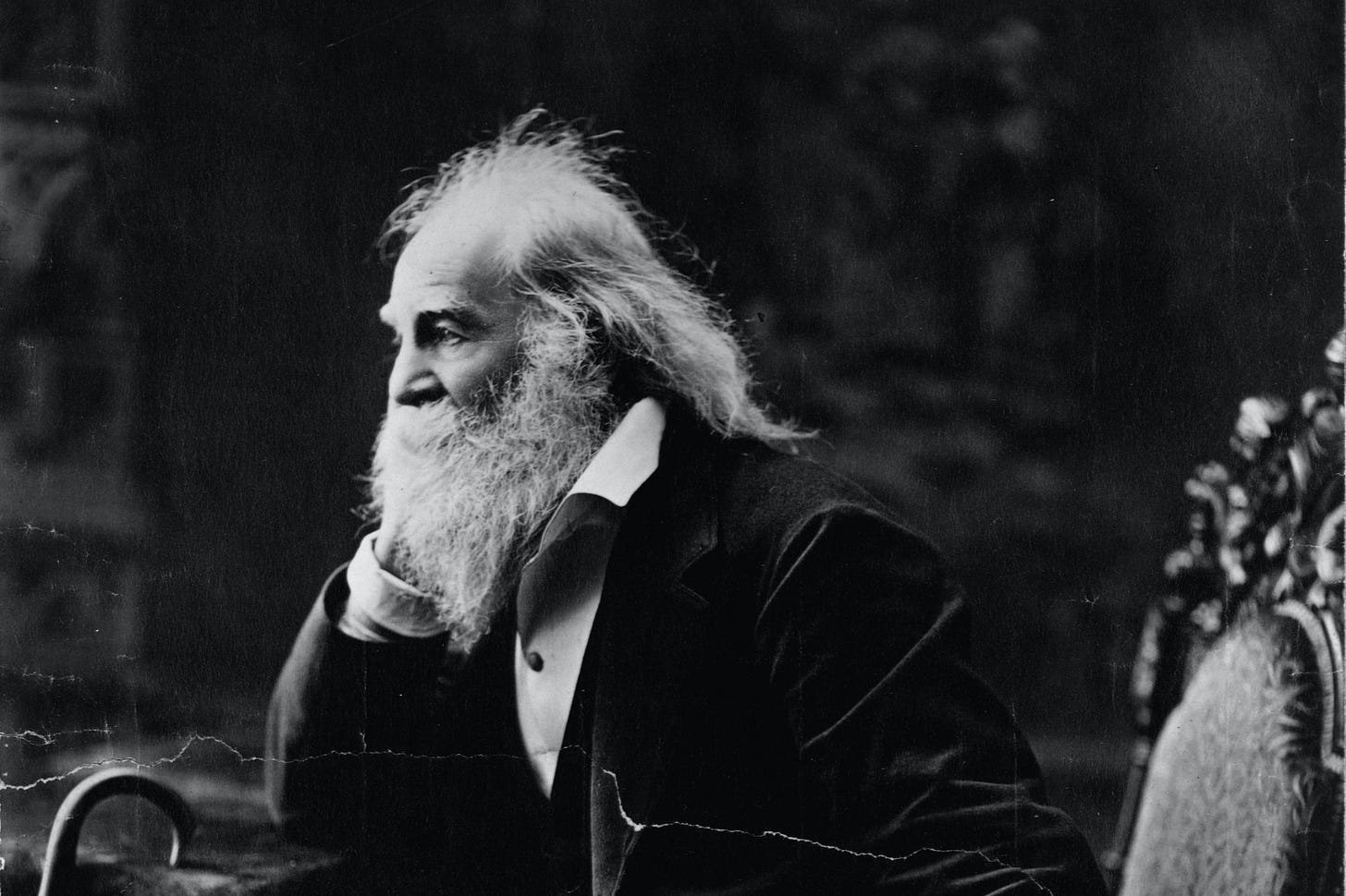 Portrait of Walt Whitman