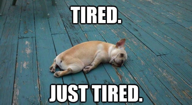 Exhausted Meme, Huge Collection of Tired Meme