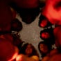 Collectif_Nues's avatar