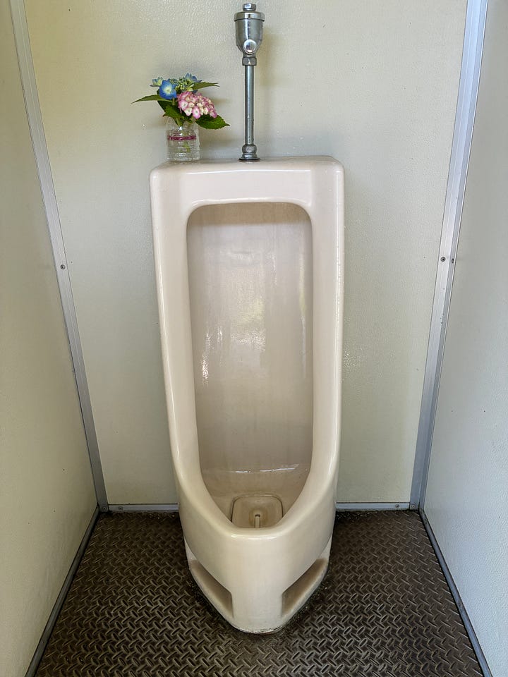 A unrinal with a hydrangea plant on top, a rural Japanese station