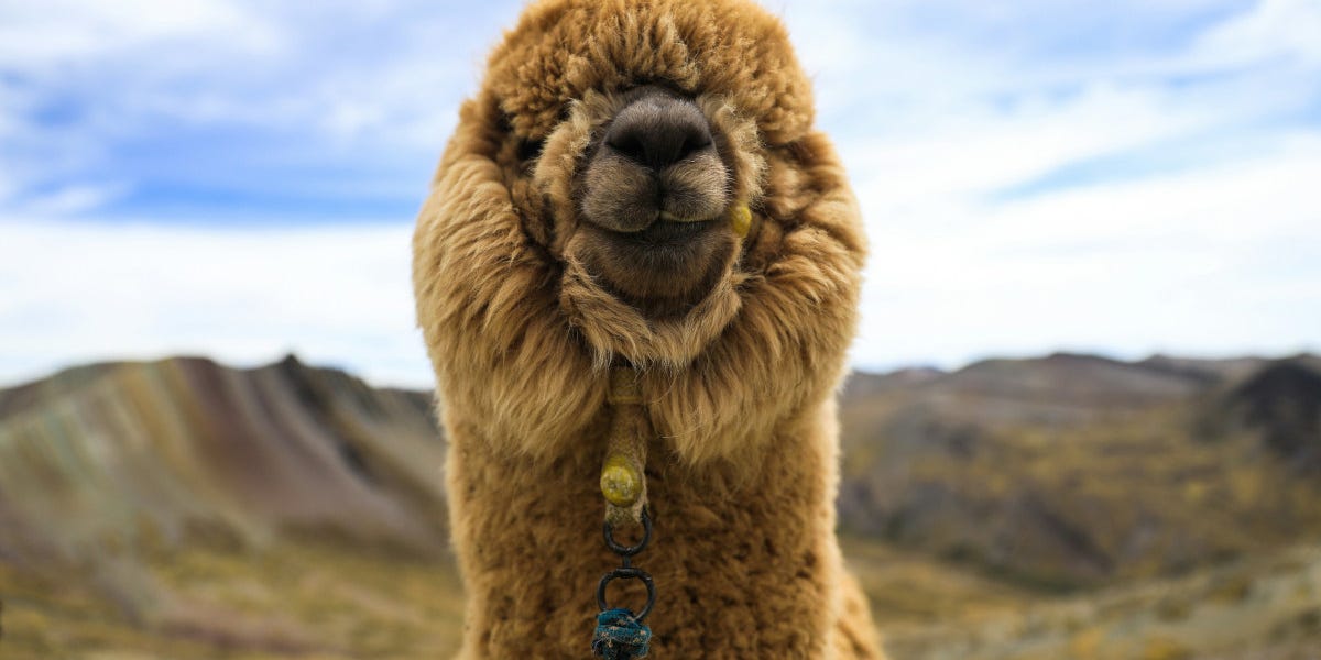 Best news of 2025: review of the environmental year