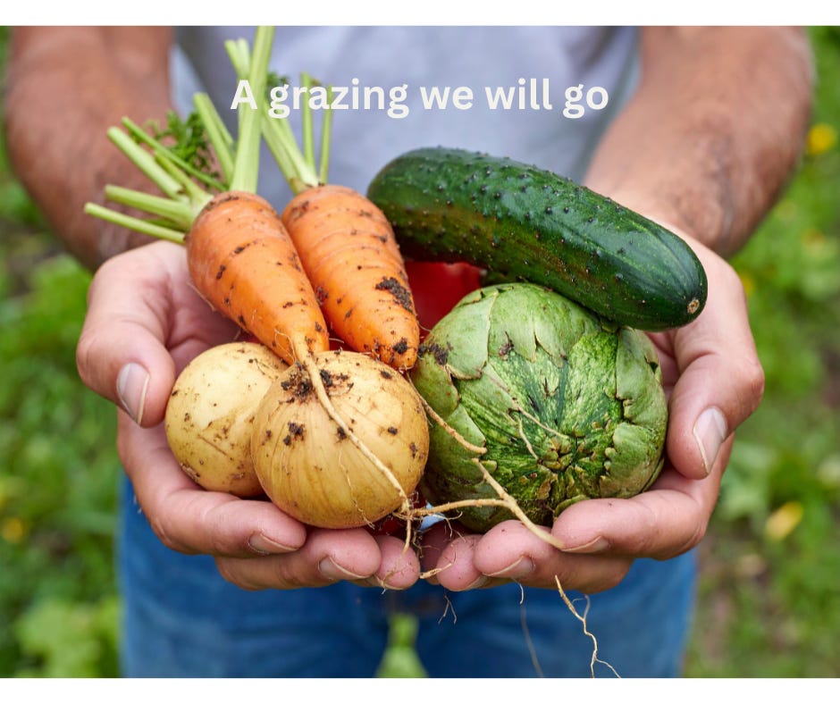 Man holding garden vegetables with dirt still on them - focus is hands and body only
