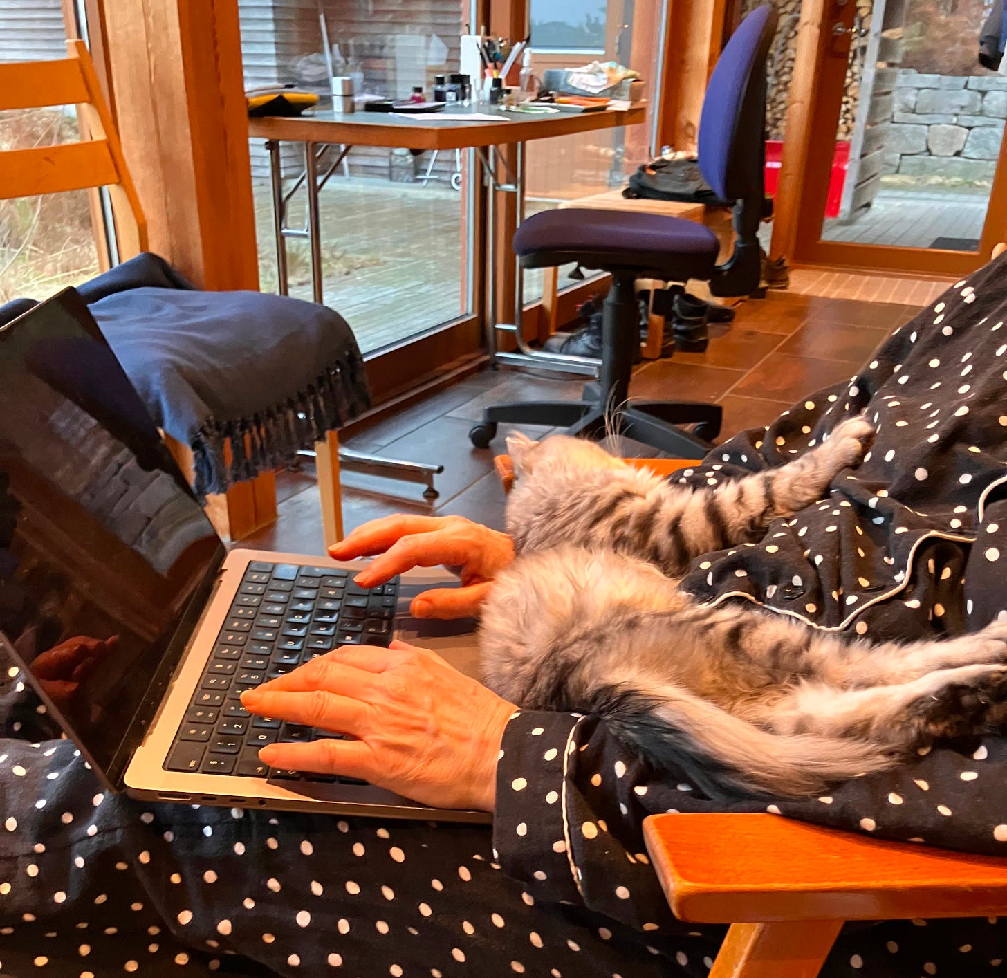 Cat sleeping across my arms as I type on my laptop