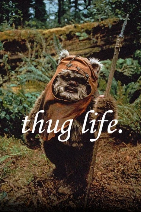 Ewok Life | Star Wars | Know Your Meme Ewok Life | Star Wars | Know Your Meme