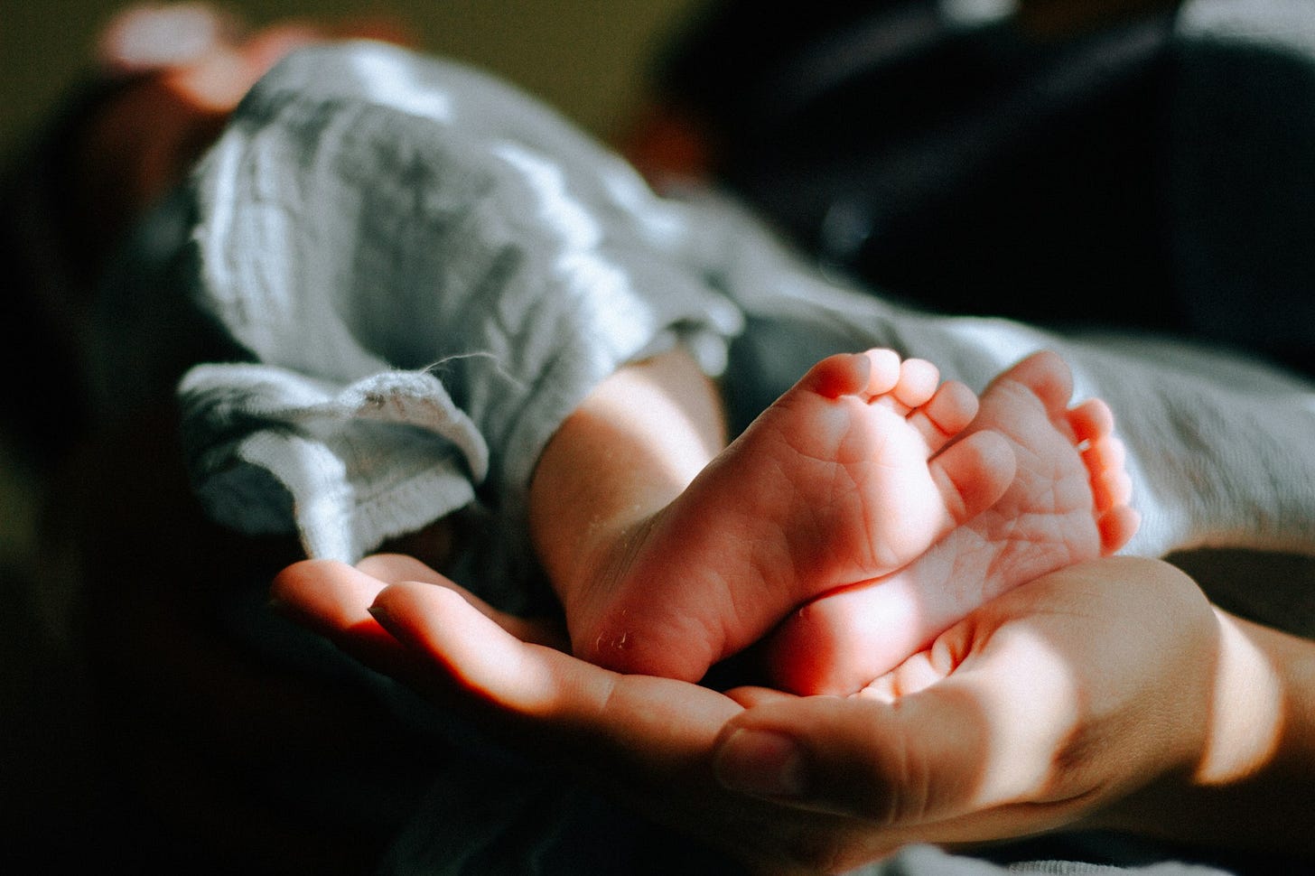 person holding baby feet person holding baby feet