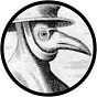 Stay Safe's avatar