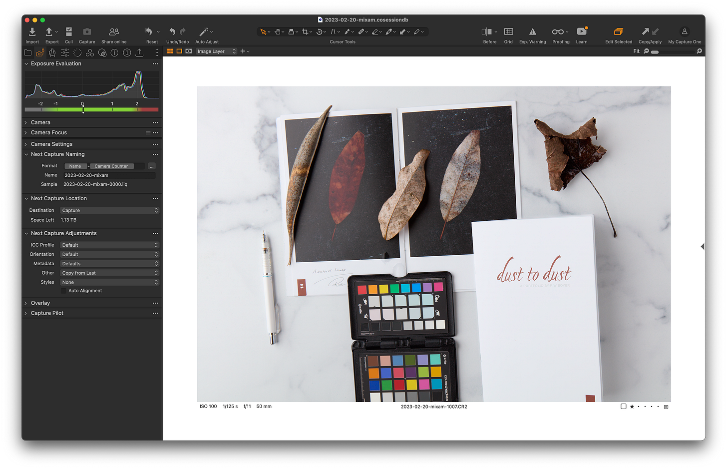 Capture One screen-shot of proper exposure Capture One screen-shot of proper exposure
