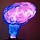 Neurocritical Thoughts