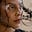 Avatar de lia petrelli