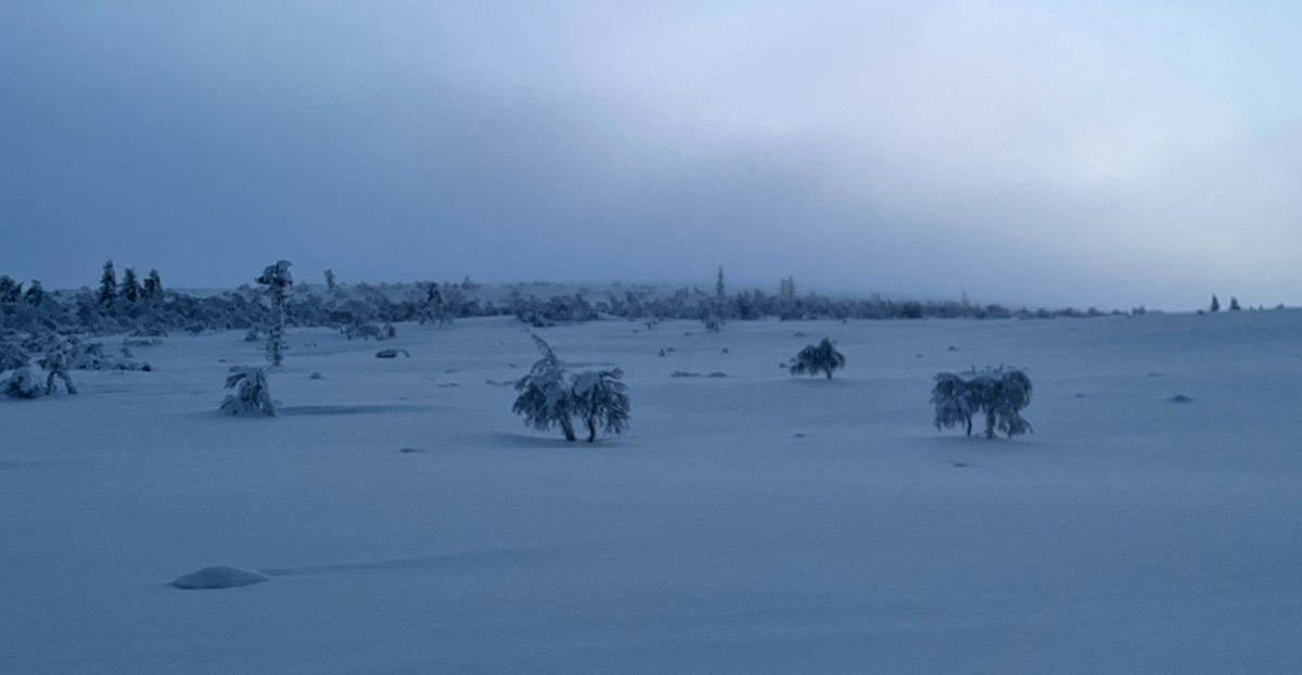Photograph of a snow scene, Saariselkä, Finland, November 2023.