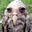 A. Rabbitude's avatar