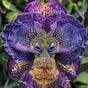 Tony Ridler's avatar